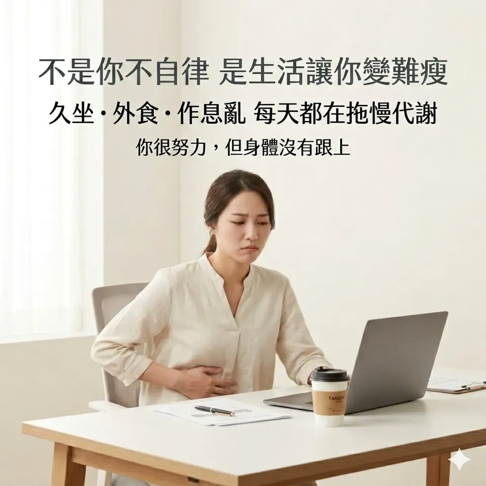纖體飲